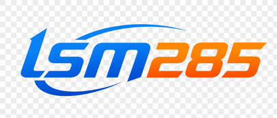 lsm285